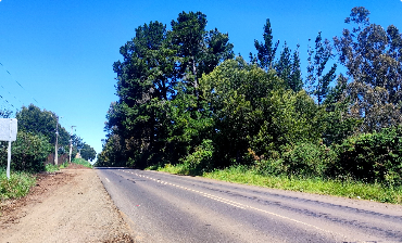 atributo_7